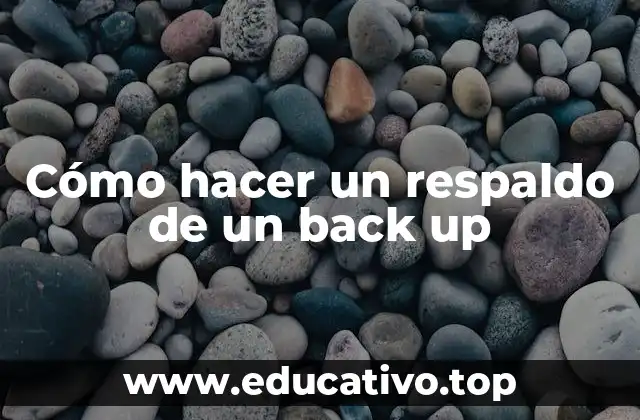 Cómo hacer un respaldo de un back up