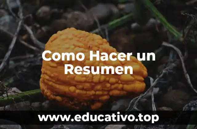 ¿Qué es un Resumen y para Qué Sirve?