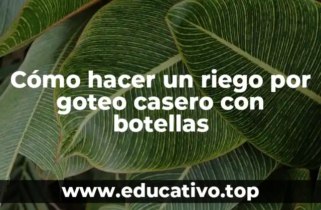Cómo hacer un riego por goteo casero con botellas