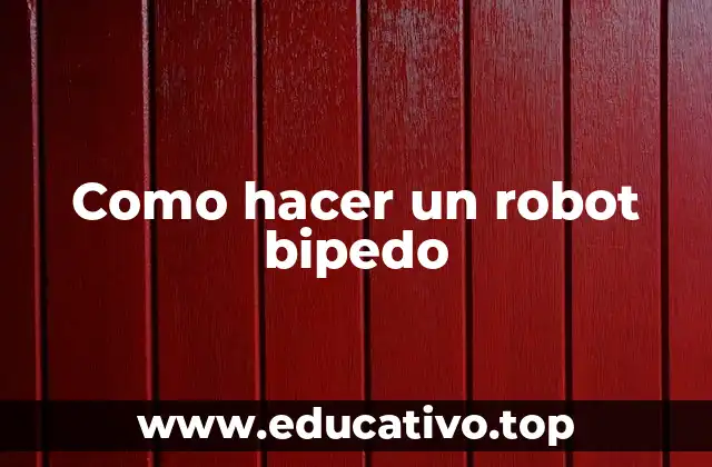 Como hacer un robot bipedo