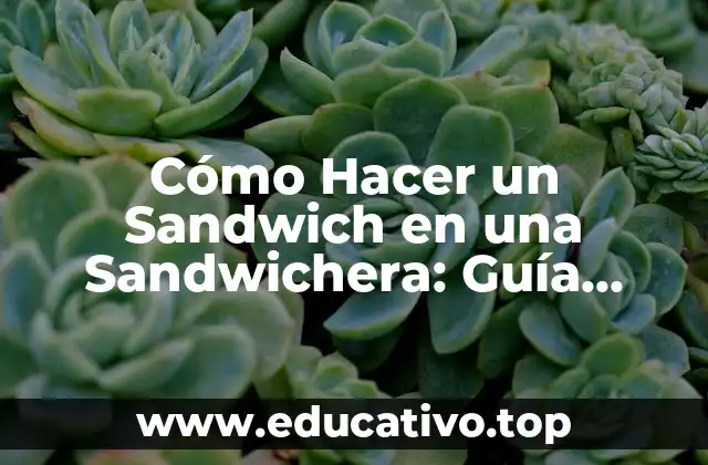 Cómo Hacer un Sandwich en una Sandwichera: Guía Completa y Detallada