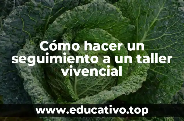 Cómo hacer un seguimiento a un taller vivencial
