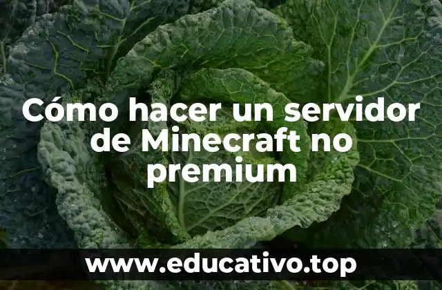 Cómo hacer un servidor de Minecraft no premium