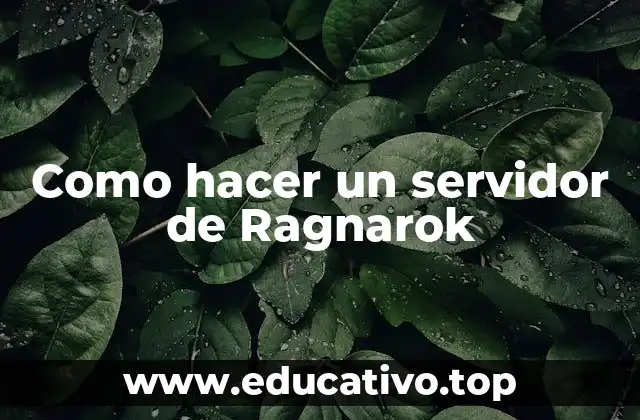 Como hacer un servidor de Ragnarok