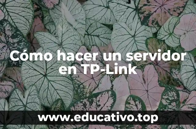 Cómo hacer un servidor en TP-Link