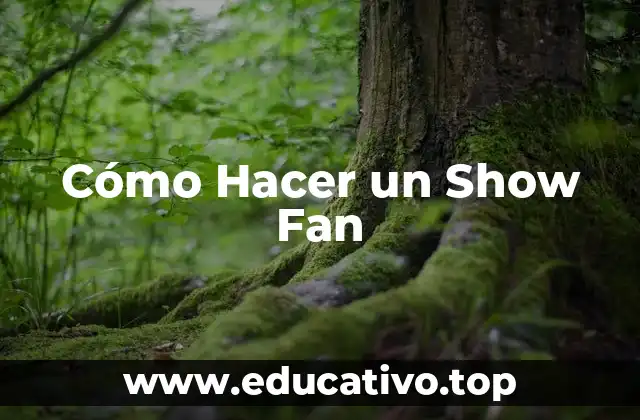 Cómo Hacer un Show Fan