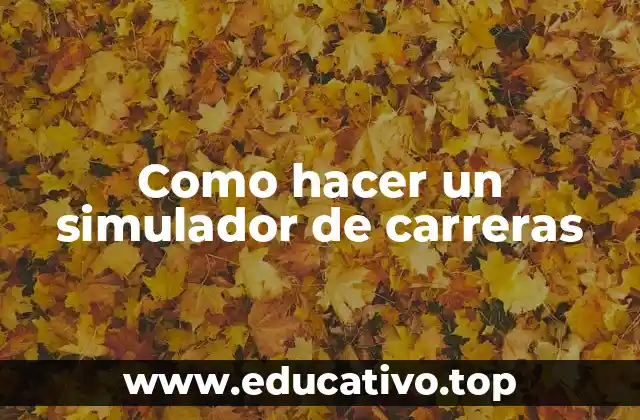 Como hacer un simulador de carreras