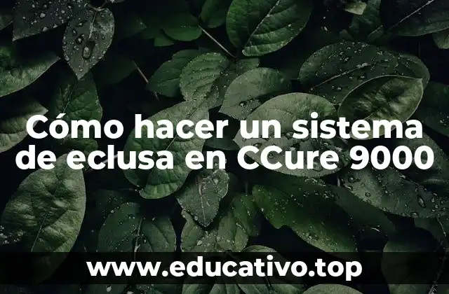 Cómo hacer un sistema de eclusa en CCure 9000