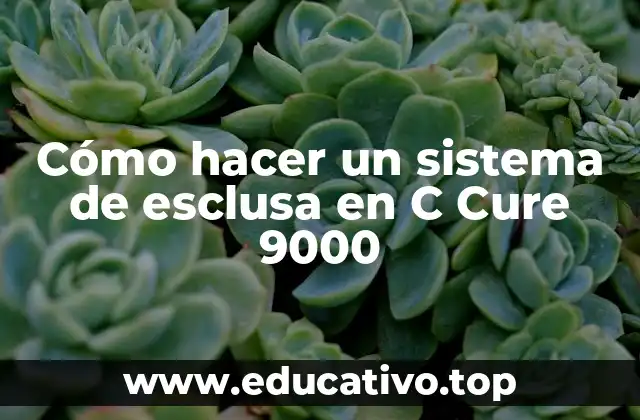 Cómo hacer un sistema de esclusa en C Cure 9000