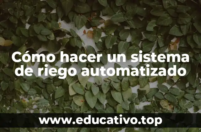 Cómo hacer un sistema de riego automatizado