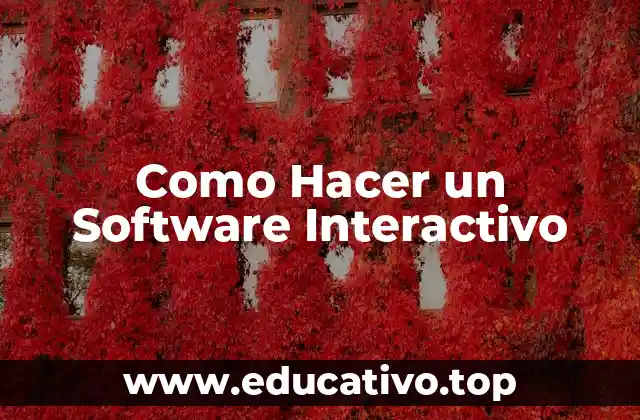 Como Hacer un Software Interactivo