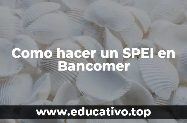 Como hacer un SPEI en Bancomer