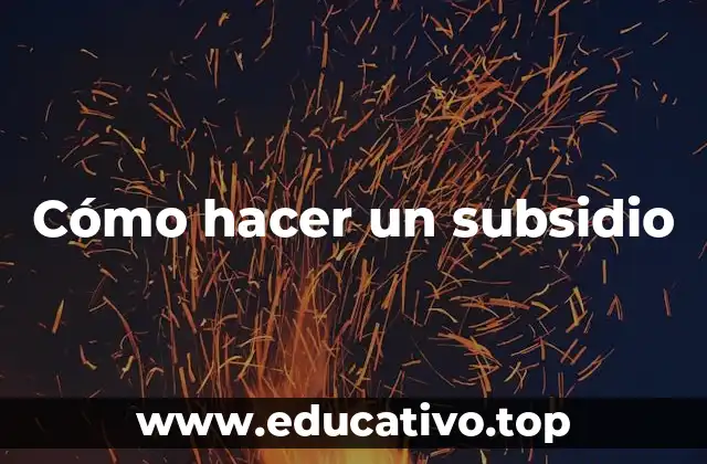 Cómo hacer un subsidio