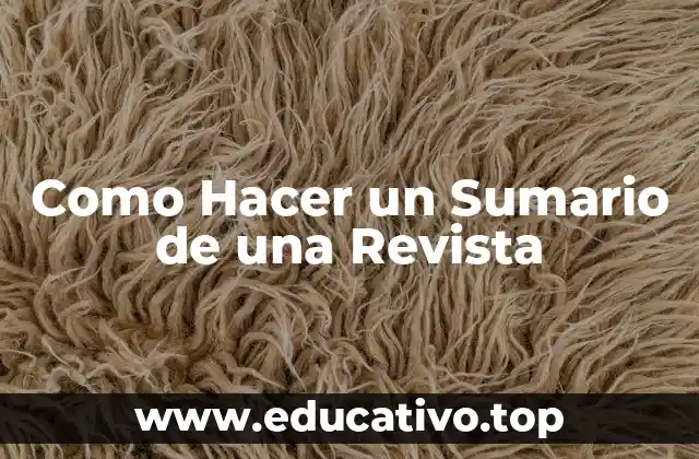 Como Hacer un Sumario de una Revista