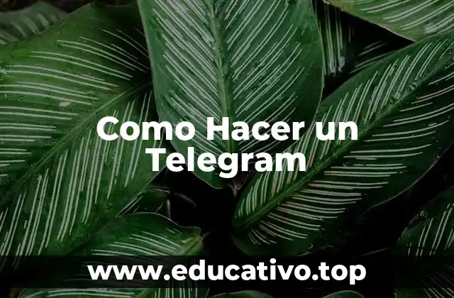 Como Hacer un Telegram