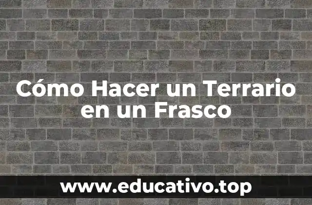 Cómo Hacer un Terrario en un Frasco