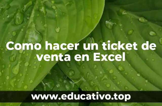 Como hacer un ticket de venta en Excel
