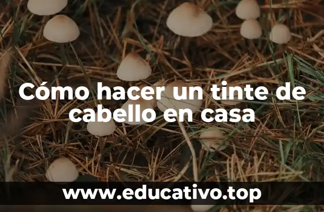 Cómo hacer un tinte de cabello en casa