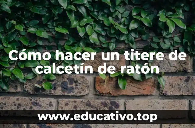 ¿Qué es un titere de calcetín de ratón y para qué sirve?