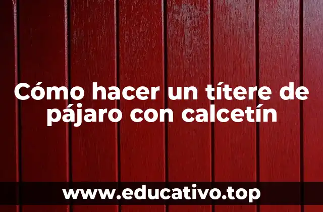 Cómo hacer un títere de pájaro con calcetín