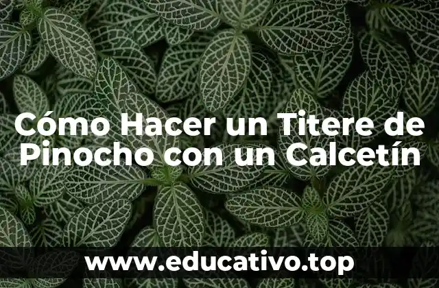 Cómo Hacer un Titere de Pinocho con un Calcetín