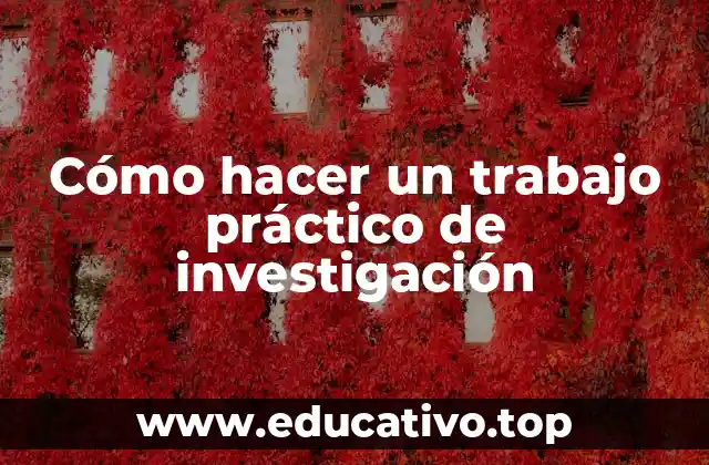 Cómo hacer un trabajo práctico de investigación