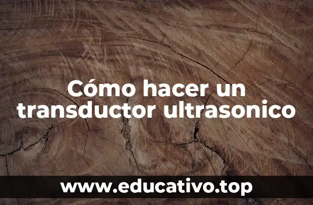 Cómo hacer un transductor ultrasonico