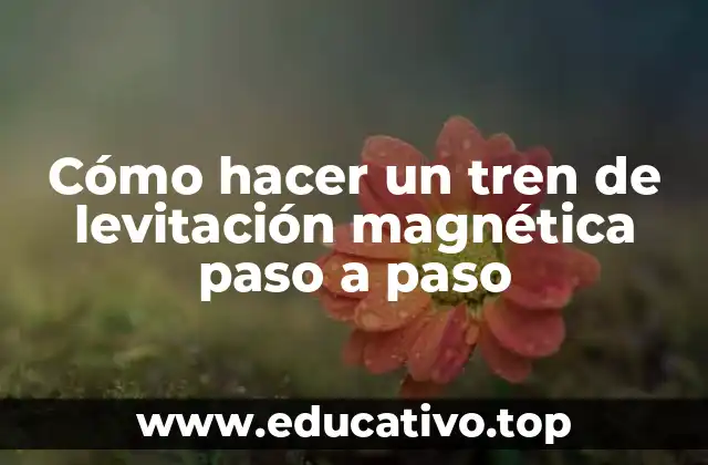 Cómo hacer un tren de levitación magnética paso a paso