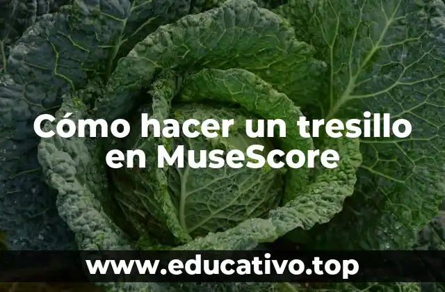 Cómo hacer un tresillo en MuseScore