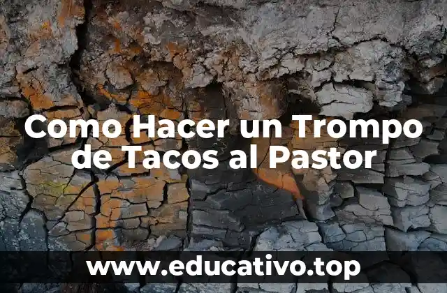 Como Hacer un Trompo de Tacos al Pastor