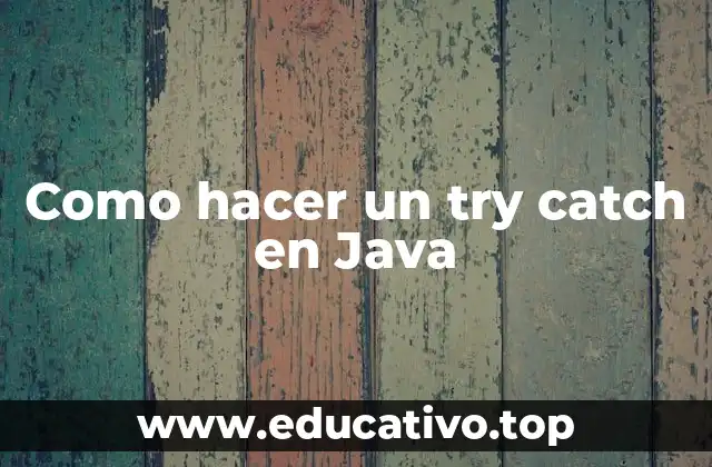 Como hacer un try catch en Java