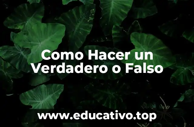 Como Hacer un Verdadero o Falso
