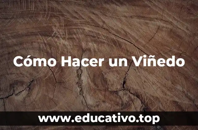 Cómo Hacer un Viñedo