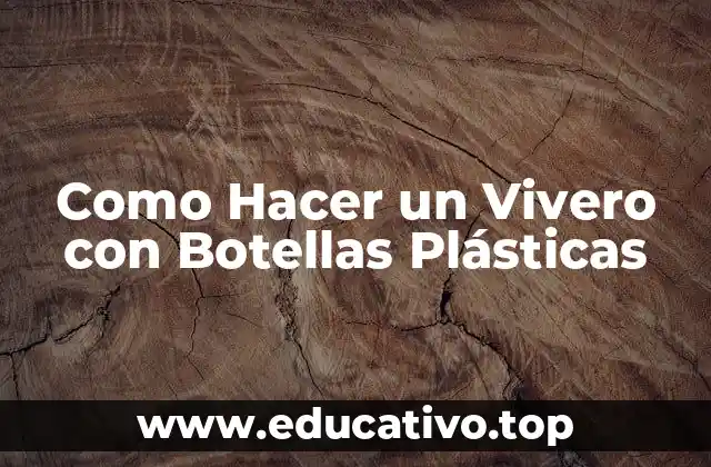 Como Hacer un Vivero con Botellas Plásticas