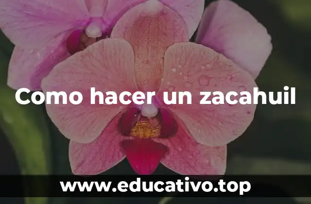 Como hacer un zacahuil