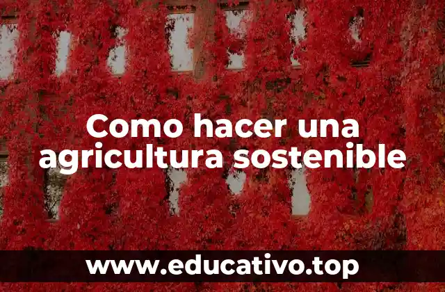 Como hacer una agricultura sostenible