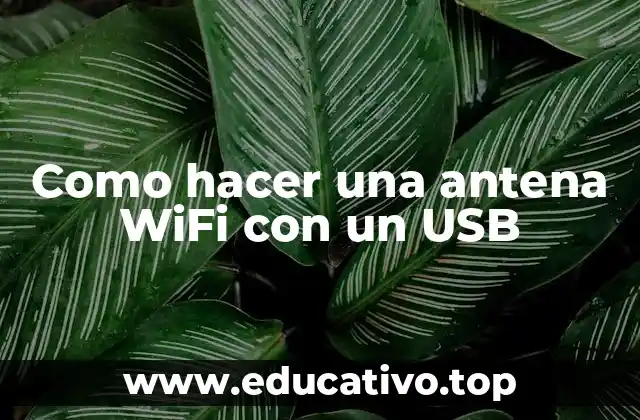 Como hacer una antena WiFi con un USB
