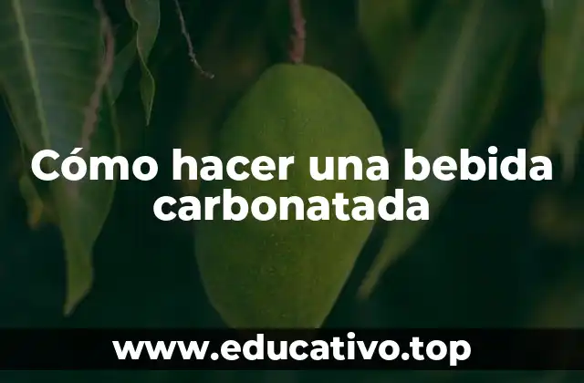 Cómo hacer una bebida carbonatada