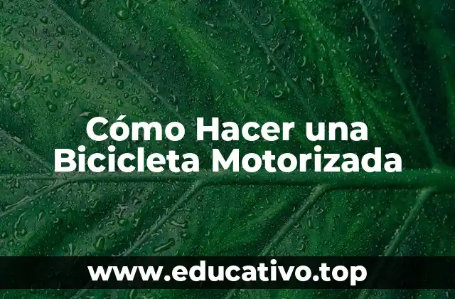 Cómo Hacer una Bicicleta Motorizada