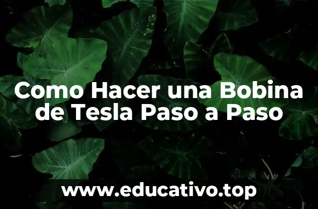 Como Hacer una Bobina de Tesla Paso a Paso