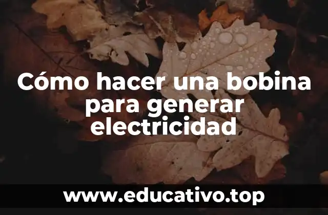 Cómo hacer una bobina para generar electricidad