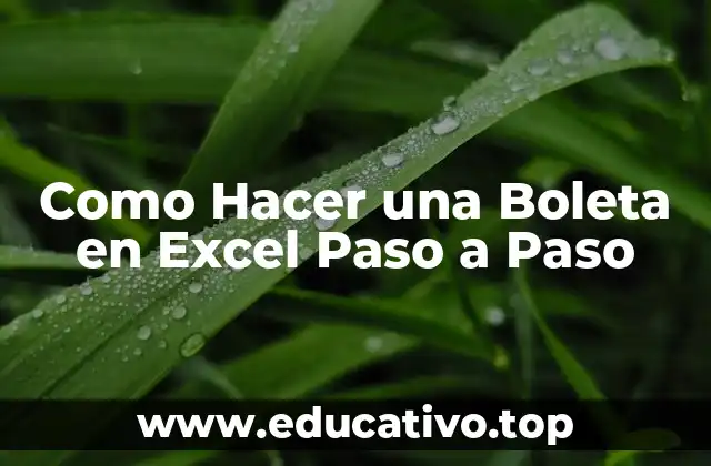 Como Hacer una Boleta en Excel Paso a Paso