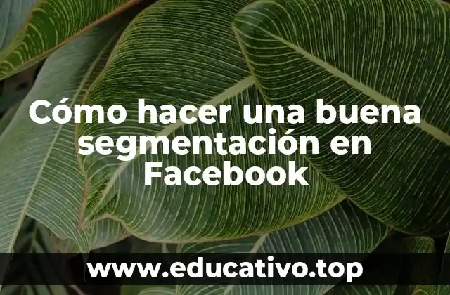 Cómo hacer una buena segmentación en Facebook