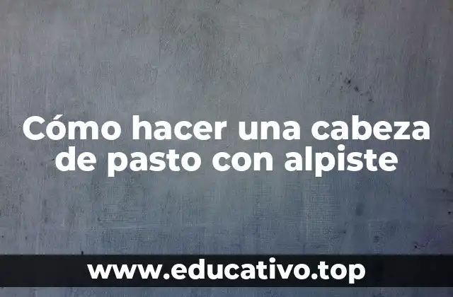 Cómo hacer una cabeza de pasto con alpiste