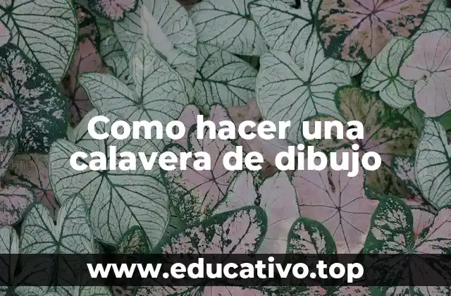 Como hacer una calavera de dibujo