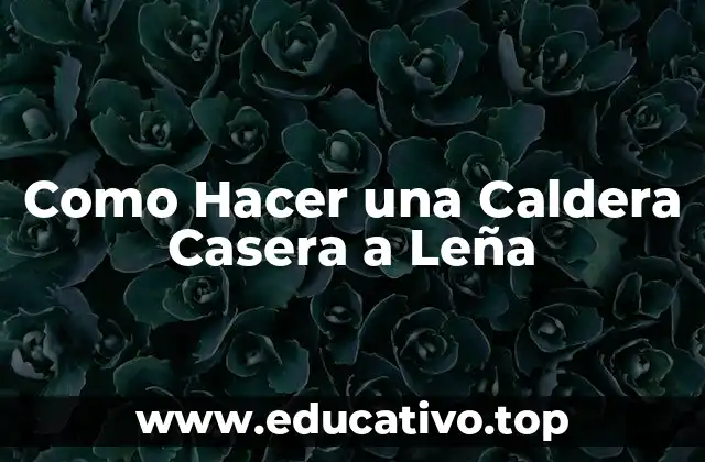 Como Hacer una Caldera Casera a Leña