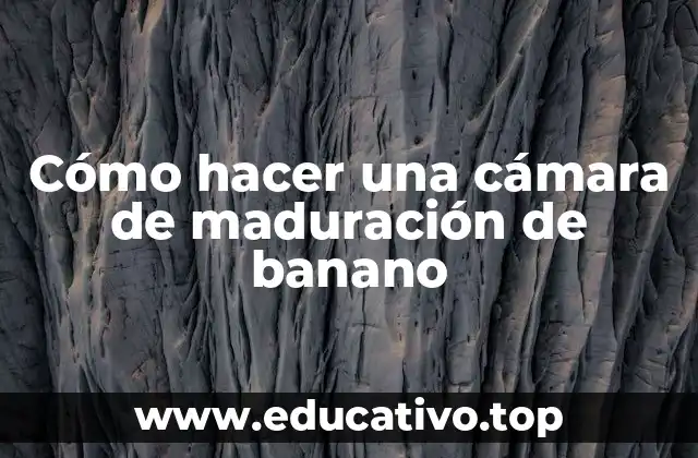 Cómo hacer una cámara de maduración de banano