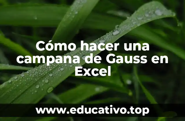 Cómo hacer una campana de Gauss en Excel