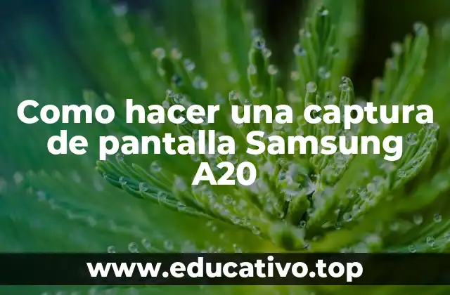 Como hacer una captura de pantalla Samsung A20