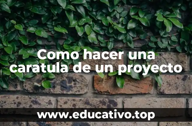 Como hacer una caratula de un proyecto